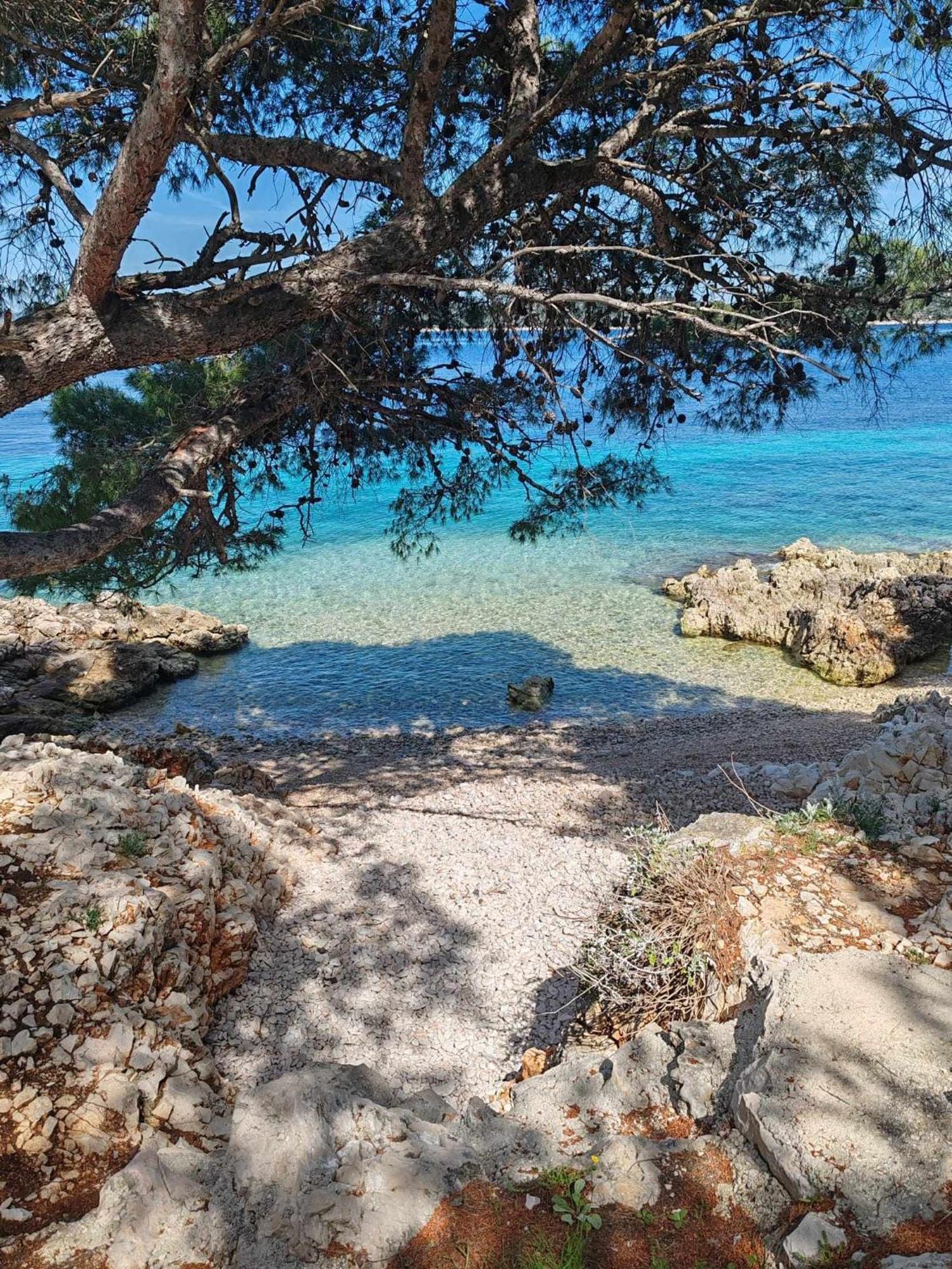 Villa House Kod Dide Primošten Exterior foto